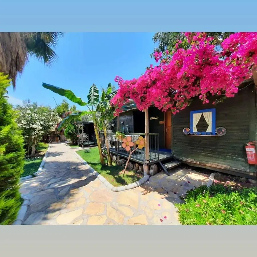 Oba Beach Hotel Oludeniz Turkey