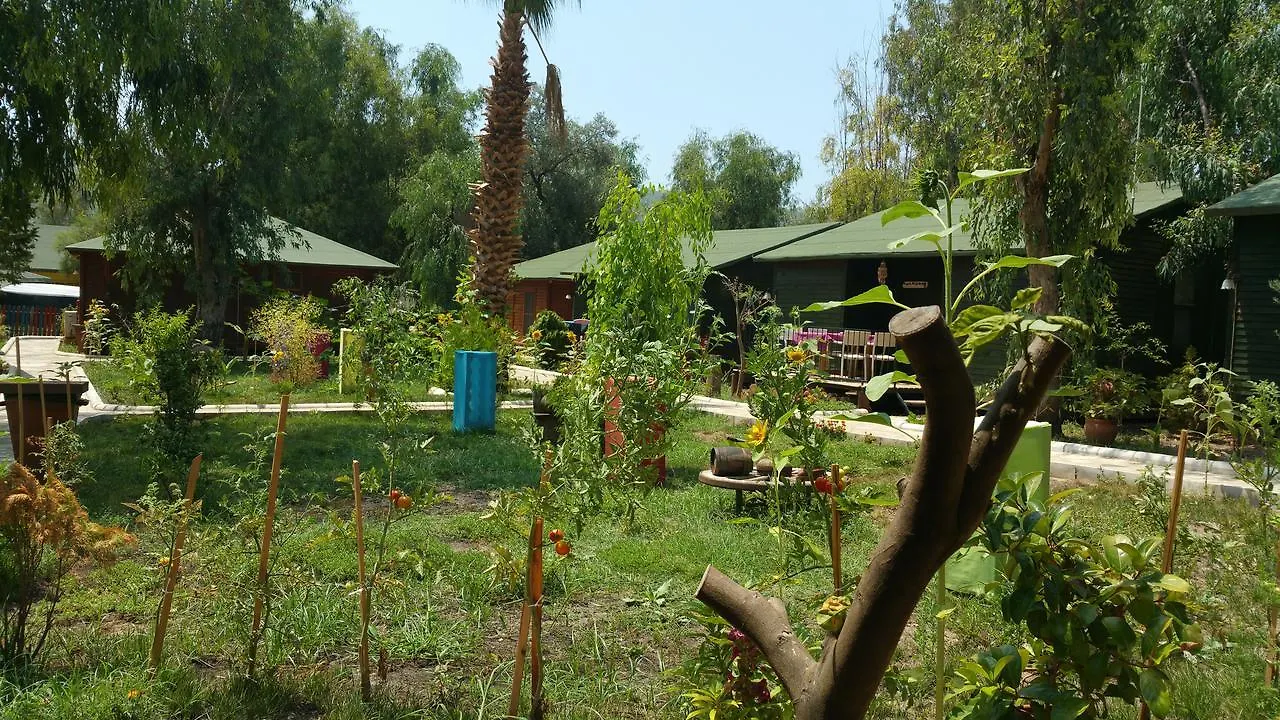 Oba Beach Hotel Oludeniz